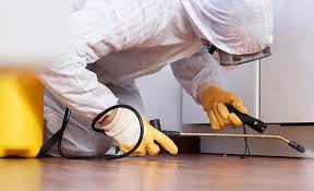 Best Termite Inspection and Treatment  in Whitehall, MI